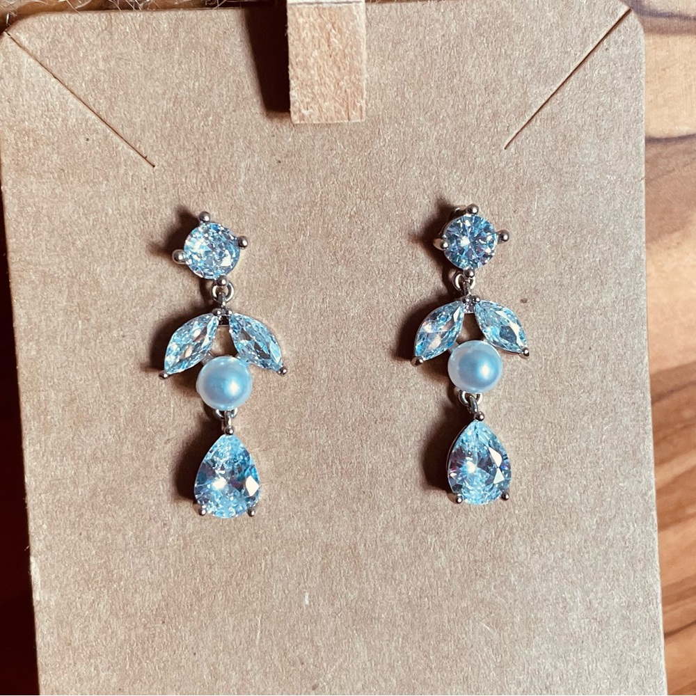 Stunning Silver Crystal Earrings